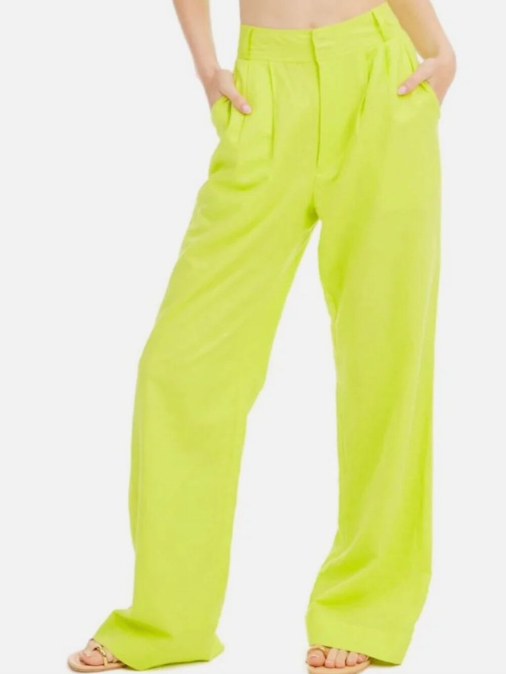 NWT ALLISON New York Audrey Wide Leg Pants  / US 4